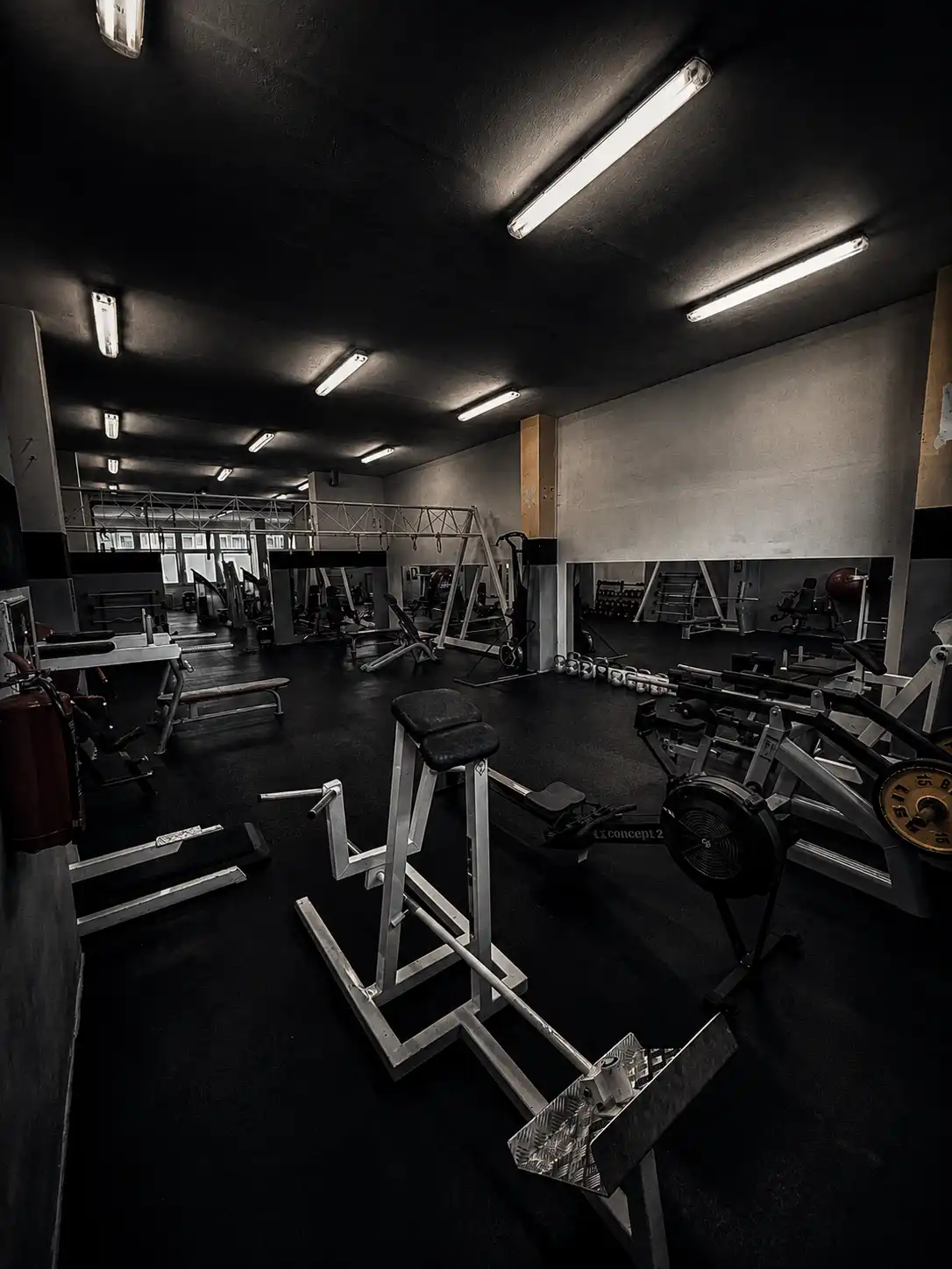 Ladies gym — fotka prostoru 1